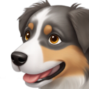australianshepherd emote for Discord