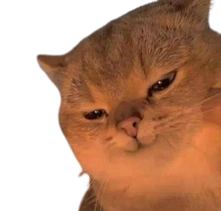 Cat_evil emote for Discord