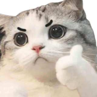 Cat_thumbs_up emote for Discord