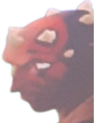 Darkmaul300p emote for Discord