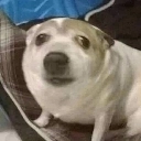 notme emote for Discord