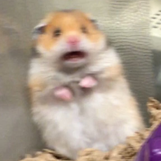 ahhhhh emote for Discord
