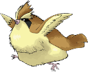 fatPidgey emote for Discord