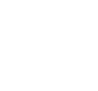 white_skull2 emote for Discord