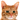pixel_cat_wink2 emote for Discord