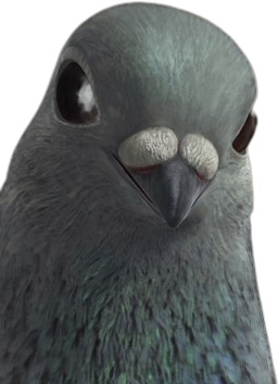 Pignon emote for Discord