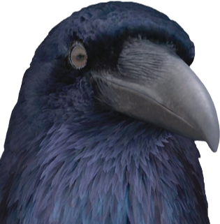 Corbeauetlerenard emote for Discord