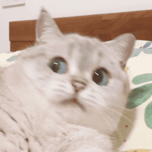 scared emote for Discord