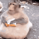 fatass_monkey emote for Discord