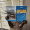 monkey_reading emote for Discord