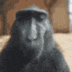 monkey_rizz emote for Discord