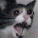 ezgif emote for Discord
