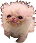 whisp emote for Discord