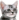 pixel_cat_bruh emote for Discord