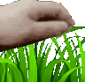 touchgrass emote for Discord