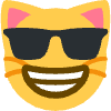 CoolCat emote for Discord