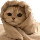 ComfyCat emote for Discord