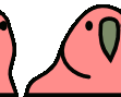 birdparty emote for Discord