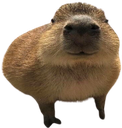 gort emote for Discord