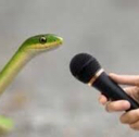 Snakespeak emote for Discord