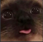 blem static emote