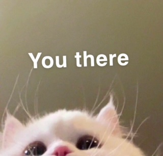 You_There emote for Discord