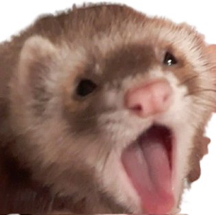 Ferret_yawn emote for Discord