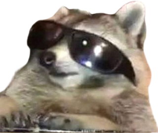 Raccoon_cool emote for Discord