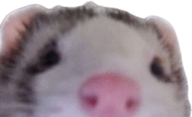 Ferret_peek emote for Discord