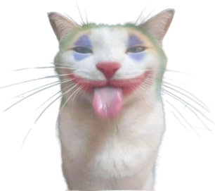 Joker_cat emote for Discord