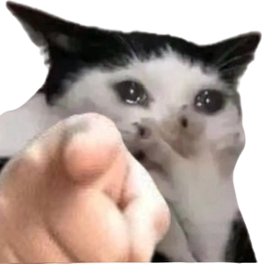 Cat_sob emote for Discord