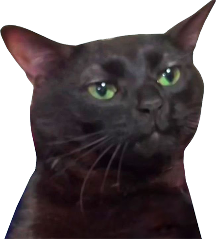 zoningoutcat static emote