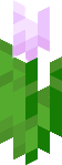 Minecraft_Pink_Tulip emote for Discord