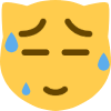 emoji5sk emote for Discord