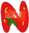 StrawberryN emote for Discord