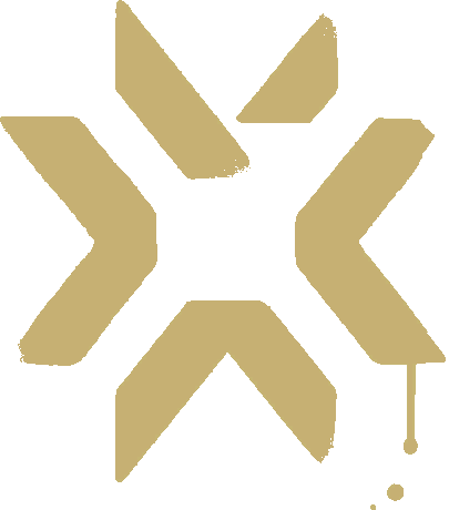 VCT_2021_Spray emote for Discord