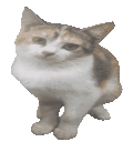 Lalasquished animated emote