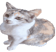 Lalawiggle emote for Discord