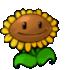 Sunflower emote for Discord