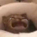 cat_cry emote for Discord