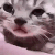 CatCry emote for Discord