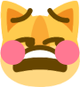 BlushingWorriedCat emote for Discord