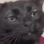 uhhuh emote for Discord