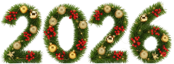 Happy_new_year_2026 emote for Discord