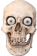 insane_skull emote for Discord