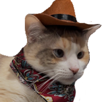 cat_cowboy emote for Discord