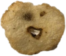 lol emote for Discord