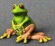 goofyfrog emote for Discord
