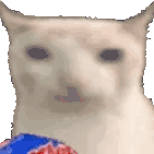 cat_ruffle emote for Discord