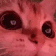 catwink emote for Discord